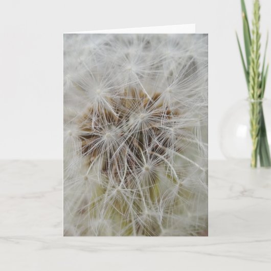 Kaart van de Nota van wensen de Grote (Voorkant)