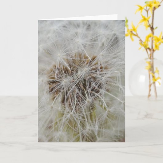 Kaart van de Nota van wensen de Grote (Gele Bloem)