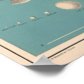 Kaart van de Relaties voor planten Poster (Hoek)