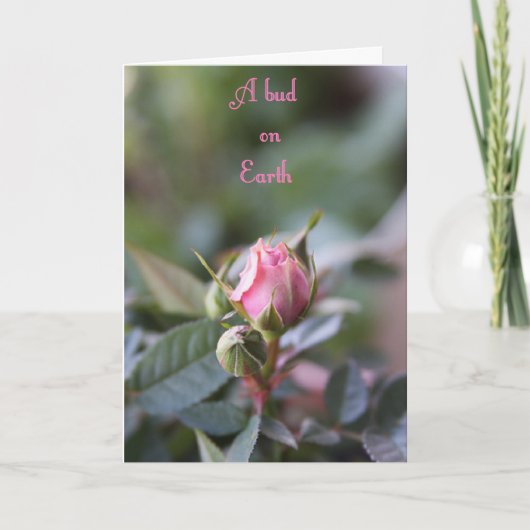 Kaart van de rouw, nam knop toe (Voorkant)