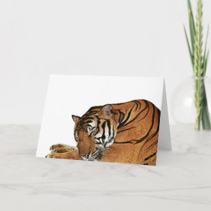 Kaart van de rusttijger
