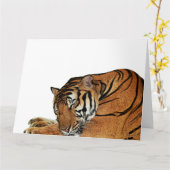 Kaart van de rusttijger (Gele Bloem)