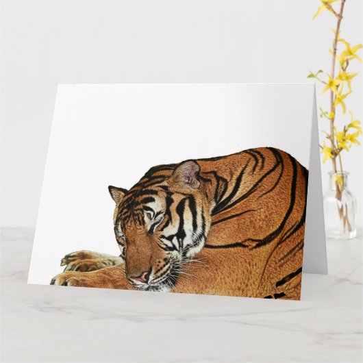 Kaart van de rusttijger (Gele Bloem)