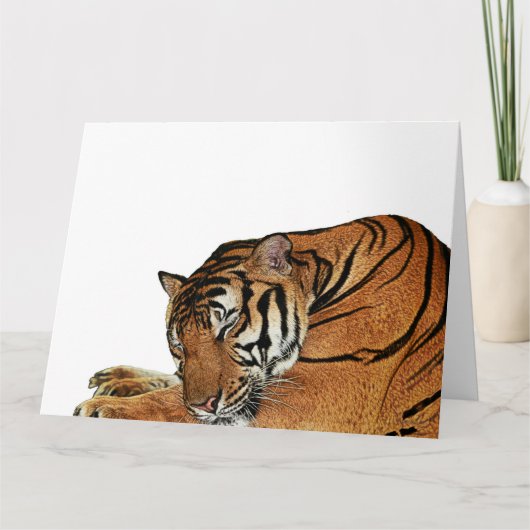 Kaart van de rusttijger (Voorkant)