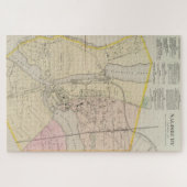  kaart van de Salisbury MD (1877) Legpuzzel (Horizontaal)