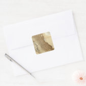 Kaart van de San Joaquin Vierkante Sticker (Envelop)