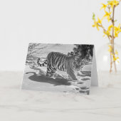 Kaart van de Schaduw van de Sneeuw van de tijger (Gele Bloem)