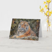 Kaart van de Sneeuw van de tijger de Koninklijke (Gele Bloem)
