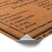 kaart van de spoorwegen in Frankrijk (1914) Poster (Hoek)