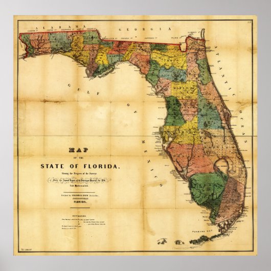 Kaart van de staat Florida (1856) Poster (Voorkant)