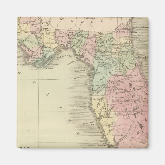Kaart van de staat Florida Magneet (Voorkant)