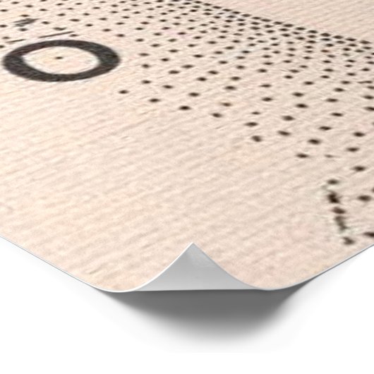  kaart van de stad Salt Lake City (1891) Poster (Hoek)