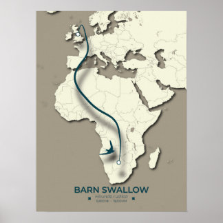 Kaart van de stalslikmigratie - Minimalistische Vi Poster
