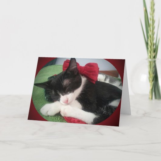 Kaart van de Vakantie van de Redding van de Kat (Voorkant)
