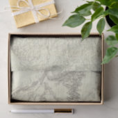 Kaart van de Verenigde Staten 4 Tissuepapier (Geschenk)