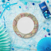 Kaart van de Verenigde Staten en gebieden Papieren Bordje (Feest)