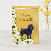 Kaart van de Verjaardag van Affenpinscher de (Gele Bloem)