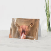 Kaart van de Verjaardag van de Mond van de olifant (Voorkant)