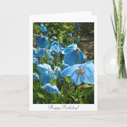 Kaart van de Verjaardag van de Papaver van (Voorkant)