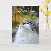 Kaart van de Verjaardag van de schattige Kat (Gele Bloem)
