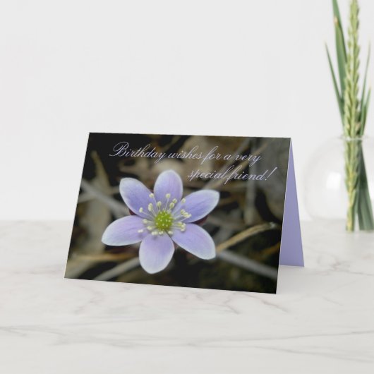 Kaart van de Verjaardag van de Vriend van Hepatica (Voorkant)