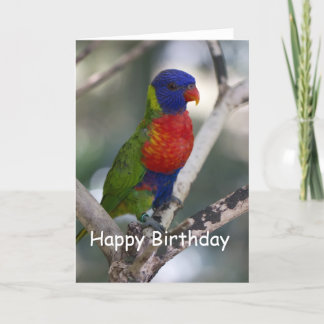 Kaart van de Verjaardag van Lorikeet van de