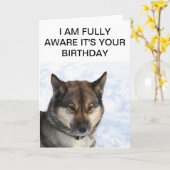 Kaart van de Verjaardag van Snarky de Siberische (Gele Bloem)