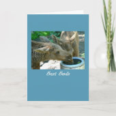 Kaart van de Vrienden van de Kalveren van de (Voorkant)