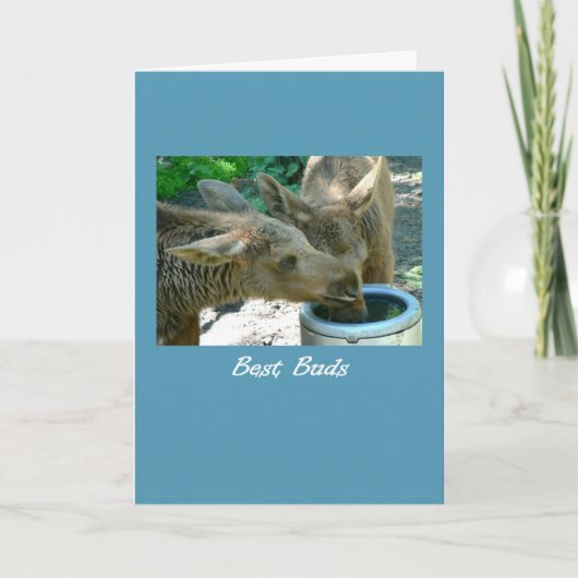 Kaart van de Vrienden van de Kalveren van de (Voorkant)