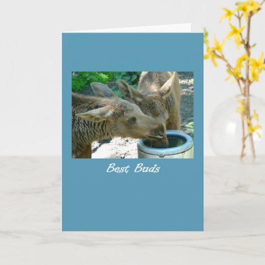 Kaart van de Vrienden van de Kalveren van de (Gele Bloem)