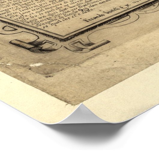  kaart van de wereld (1565) poster (Hoek)