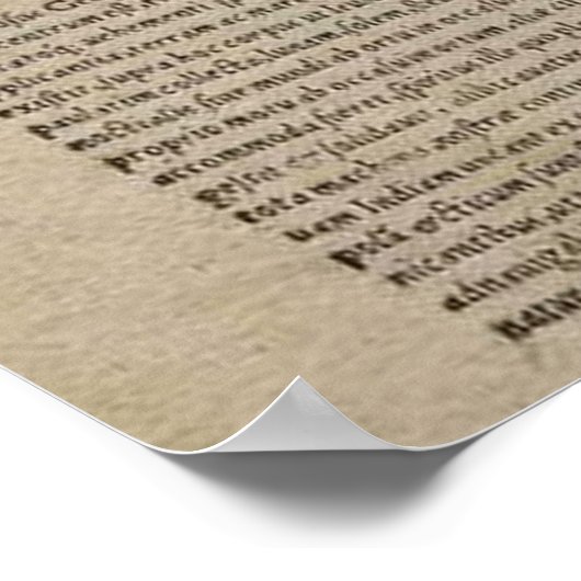 kaart van de wereld (1587) poster (Hoek)