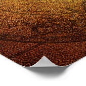  kaart van de wereld 1635 poster (Hoek)