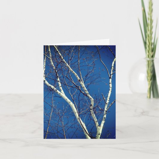 Kaart van de White Birch Tree Blue Sky Natuur Note (Voorkant)