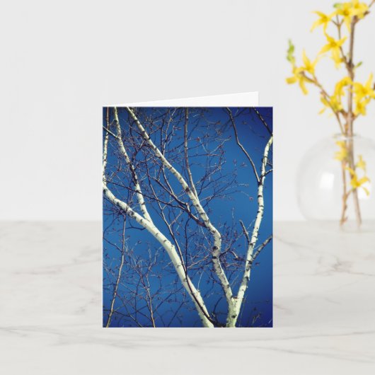 Kaart van de White Birch Tree Blue Sky Natuur Note (Gele Bloem)