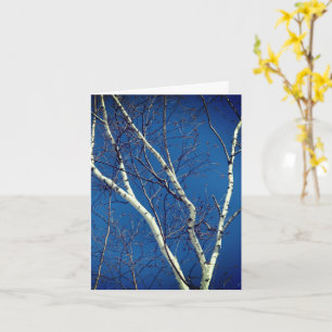 Kaart van de White Birch Tree Blue Sky Natuur Note