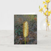 Kaart van de zaadeigenootnoot (Gele Bloem)