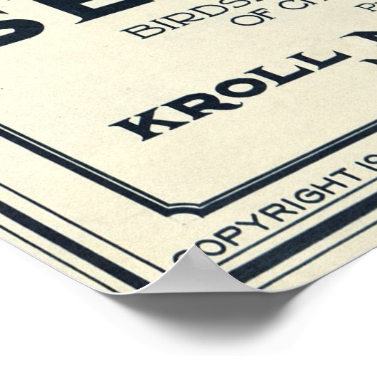 KAART VAN DE ZETEL 1925 POSTER (Hoek)