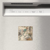 kaart van de zuidpool magneet (Insitu (Vaatwasser))
