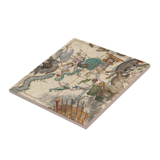  kaart van de zuidpool tegeltje (Zijkant)