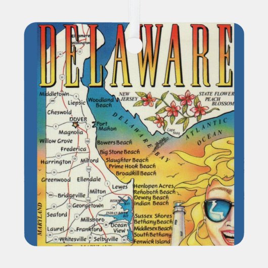  kaart van Delaware Metalen Ornament (Achterkant)