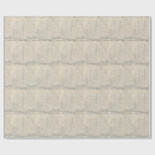  kaart van Detroit (1895) Cadeaupapier (Vlak)