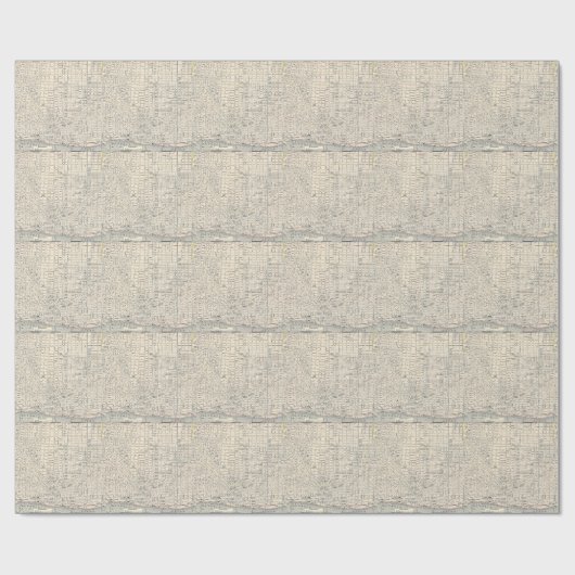  kaart van Detroit (1895) Cadeaupapier (Vlak)