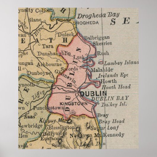  kaart van Dublin Ierland (1883) Poster (Voorkant)