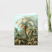 Kaart van Ernst Haeckel's Filicinae (Tree Ferns) (Voorkant)