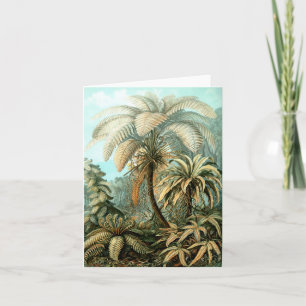 Kaart van Ernst Haeckel's Filicinae (Tree Ferns)