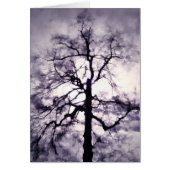 Kaart van fhantasta (Voorkant)