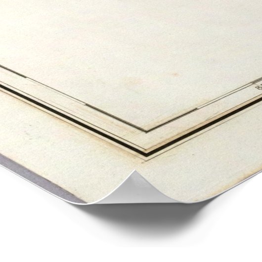  kaart van Florida (1839) Poster (Hoek)