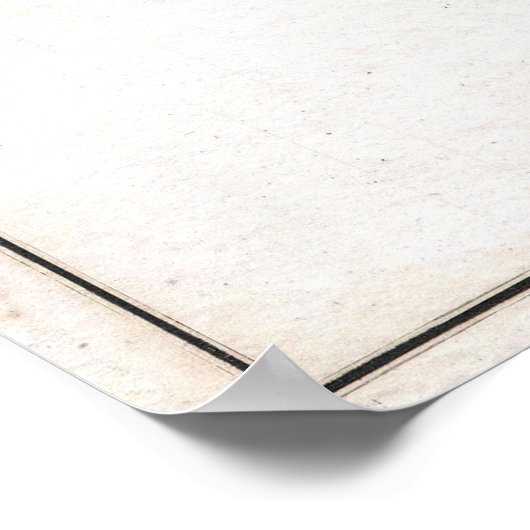  kaart van Florida (1848) Poster (Hoek)