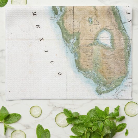  kaart van Florida (1848) Theedoek (Gevouwen)